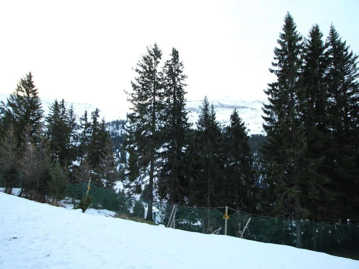 Studio Renove A Flaine Foret, Residence Sirius, A 500M Des Pistes - 5 Couchages - Fr-1-687-17 Araches-la-Frasse Apartment